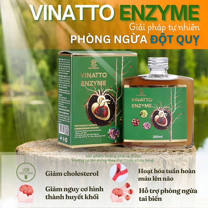 Vinatto Enzyme - Ngăn ngừa đột quỵ