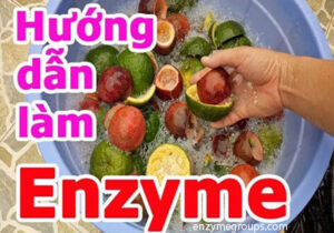 Cách làm enzyme hoa quả tổng hợp