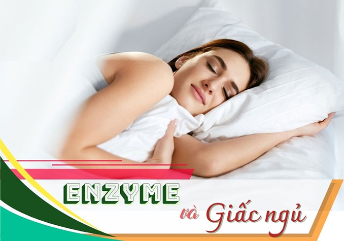 Enzyme liên quan đến giấc ngủ