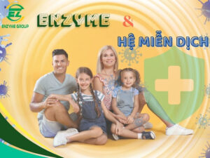 Enzyme và Hệ Miễn Dịch