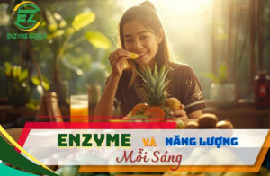 Enzyme và năng lượng mỗi sáng
