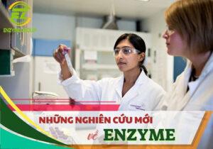 Những nghiên cứu mới về enzyme tự nhiên