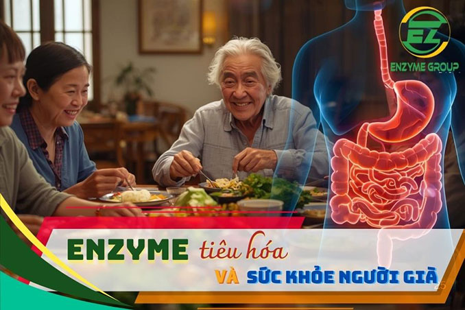 Enzyme và năng lượng mỗi sáng giúp cơ thể tỉnh táo, tiêu hóa tốt và tràn đầy năng lượng.